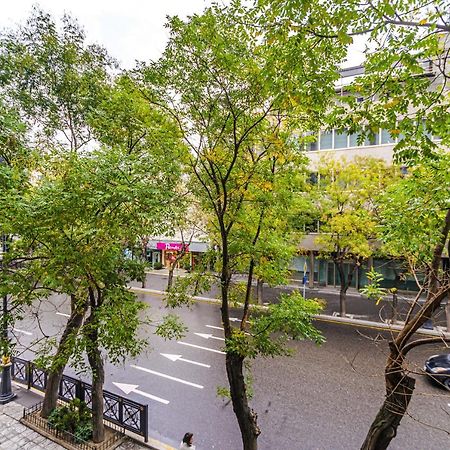 Vip Apartamen Nizami Street Apartment Baku Bagian luar foto